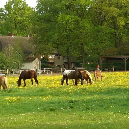 Ferienwohnungen Wulfshof Schneverdingen Exterior foto